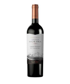 Vang Castillo De Molina Cabernet Sauvignon