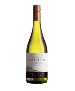 Vang Castillo De Molina Sauvignon Blanc