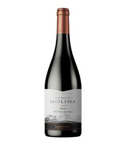 Vang Castillo De Molina Syrah