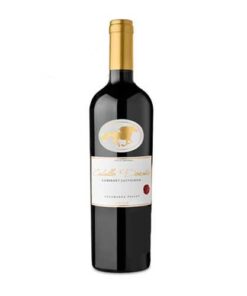 Vang Chile Caballo Varietal Cabernet Sauvignon