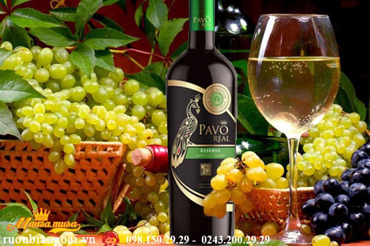 Vang Chile Pavo Real Sauvignon Blanc Reserva