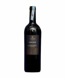 Vang Ý Lingone Negroamaro Salento