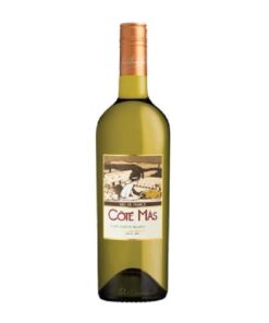Rượu Vang Pháp Cote Mas Languedoc Blanc