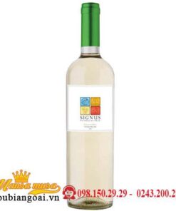 Vang Signus Sauvignon Blanc