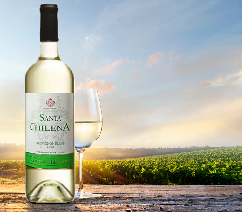 Rượu vang santa chilena sauvignon blanc-1
