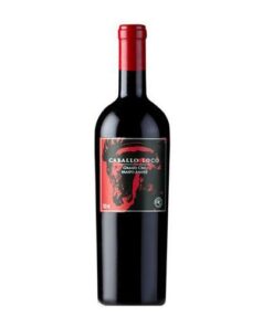 vang valdivieso caballo loco grand cru maipo andes