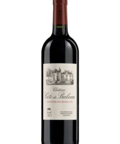 Rượu vang Pháp Chateau Cote de Baleau 2019
