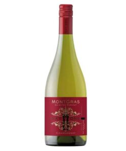 Rượu vang Chi Lê Montgras Day One Chardonnay