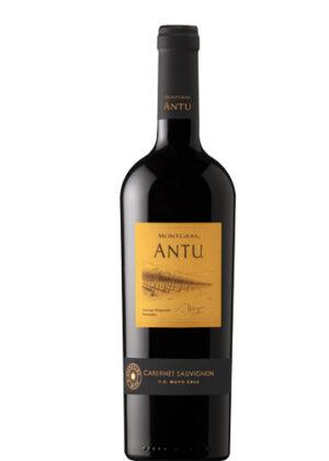 Rượu vang Chi Lê Montgras Ninquen Antu Cabernet Sauvignon - Carmenere