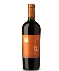 Ruou-vang-Chi-Le-Luis Felipe Edwards LFE900 Malbec