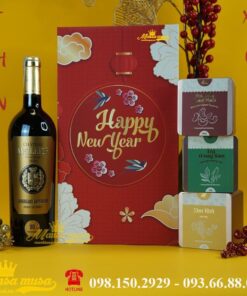 Hộp quà tết Giáp Thìn 2024-GTB13