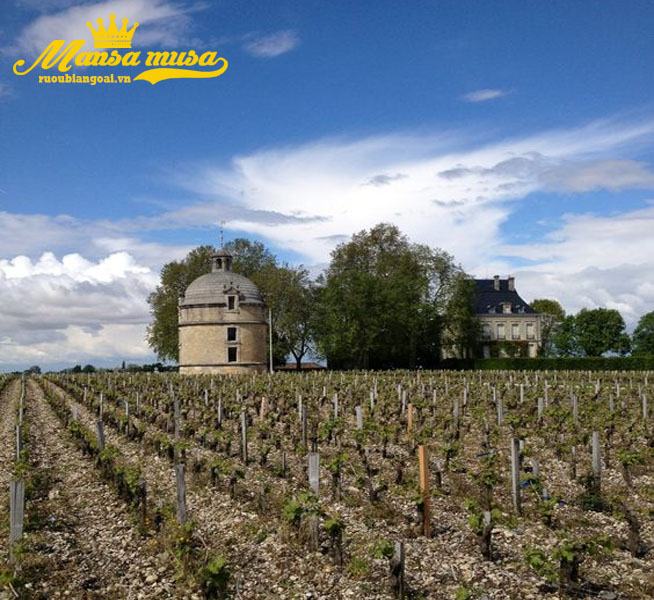 vang pháp chateau latour pauillac 2014