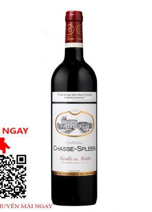 chateau chasse spleen