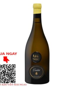 chateua de sannes castini 2022