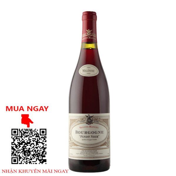 pinot noir bourgogne domaine seguin manuel