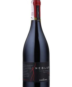 Rượu Vang Casablanca Neblus Syrah
