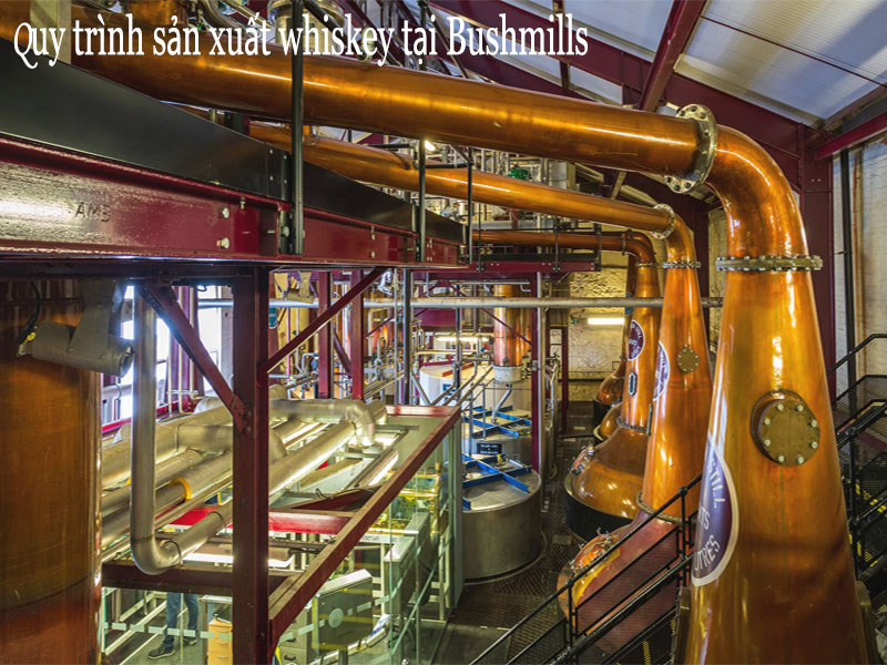 rượu whisky bushmills 10 year