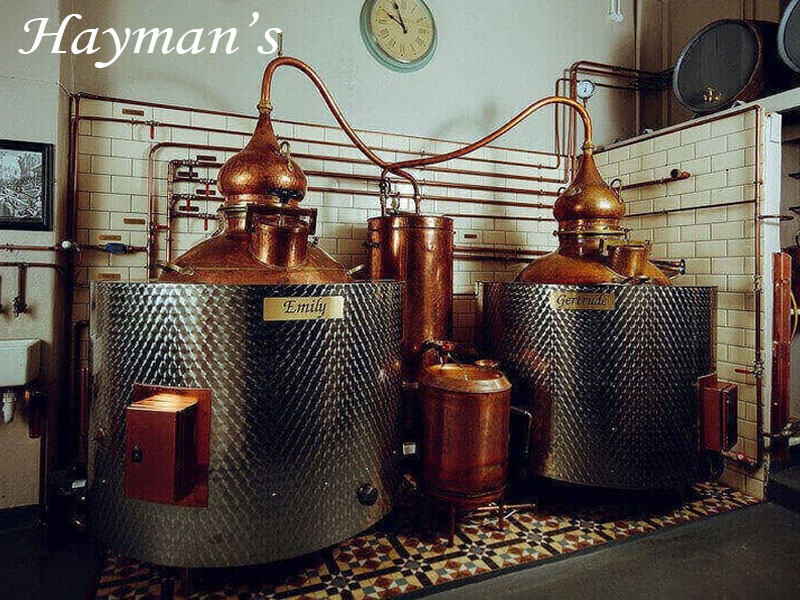 rượu gin london hayman's sloe