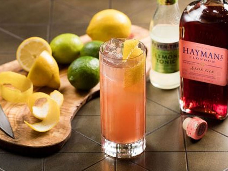 rượu gin london hayman's sloe