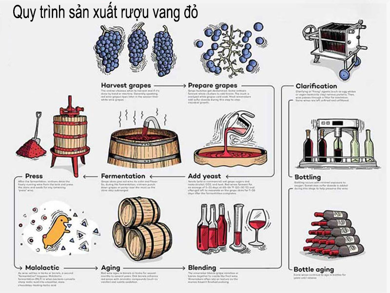 rượu vang pháp grand vin de st-estephe 2022