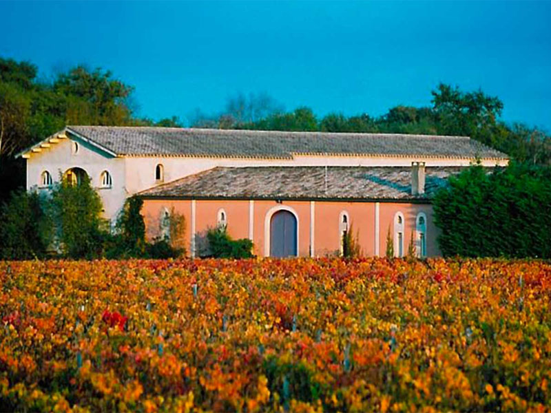 rượu vang pháp fleur de cantelys pessac leognan red (hộp quà tết 2025)