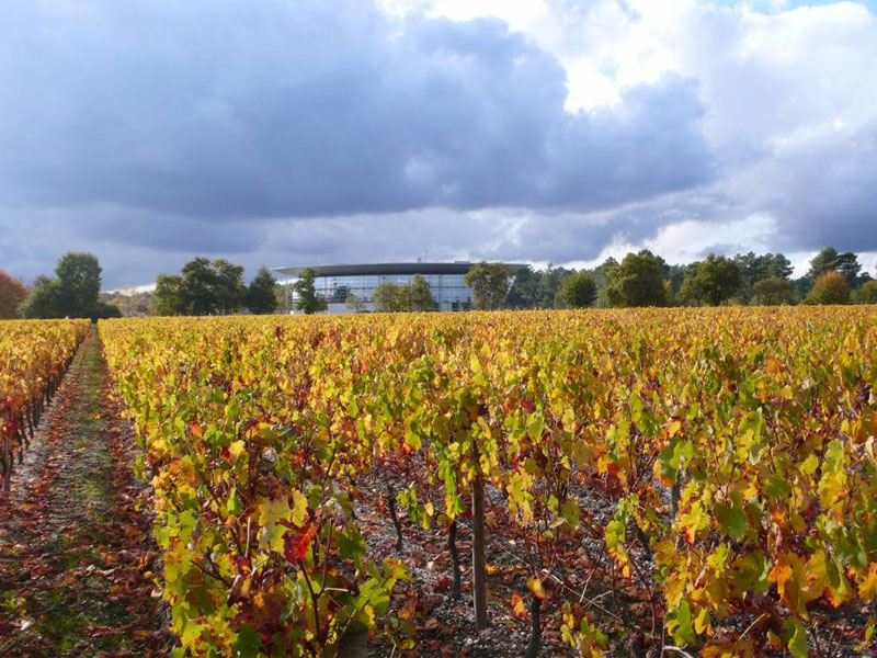 rượu vang pháp fleur de cantelys pessac leognan red (hộp quà tết 2025)