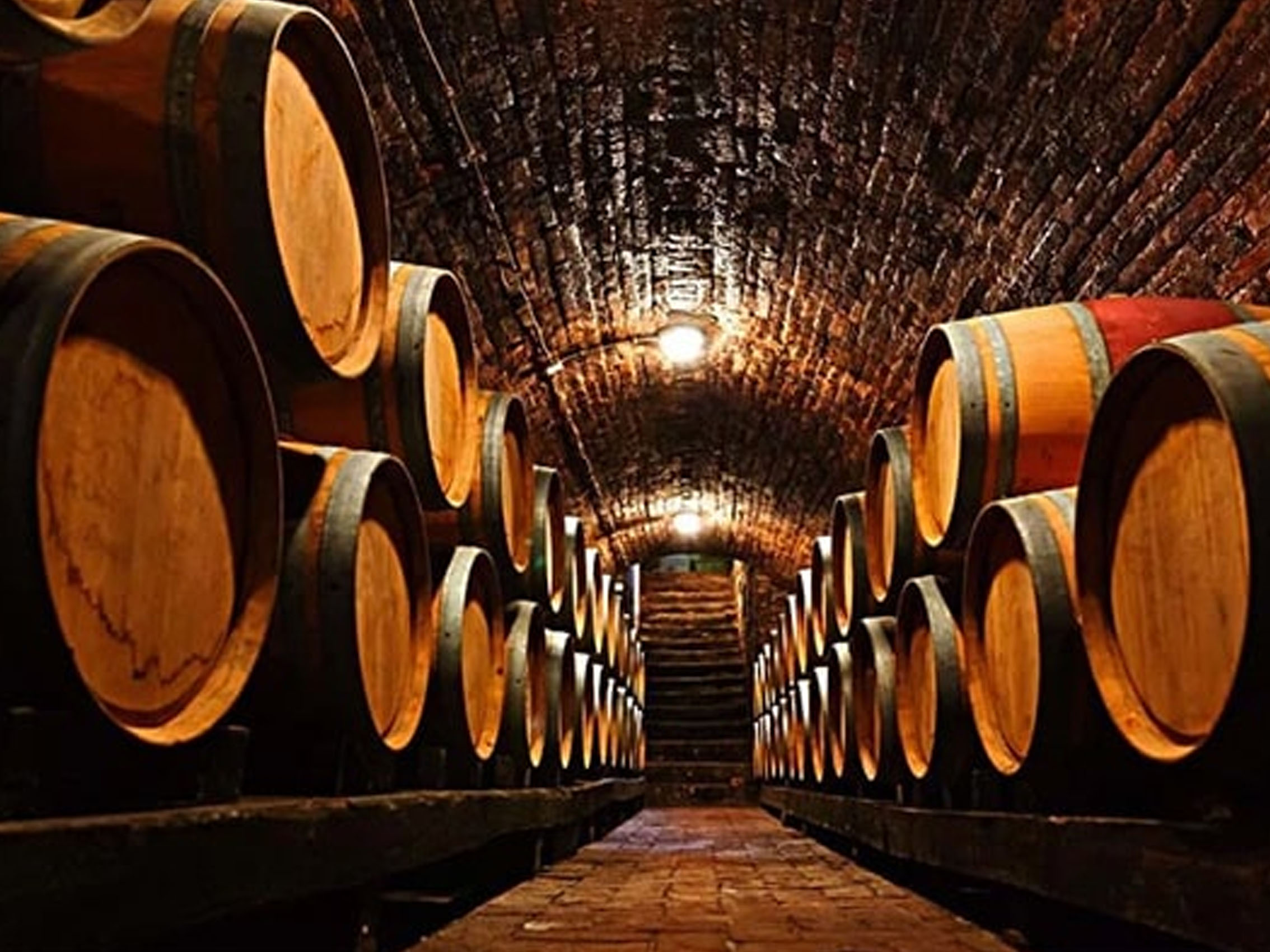 rượu vang mapu cabernet sauvignon (quà tết 2025)