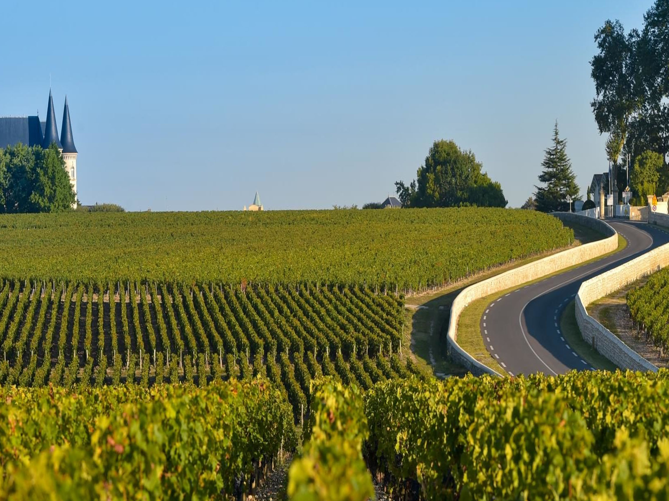 rượu vang mayardau bordeaux (quà tết 2025)