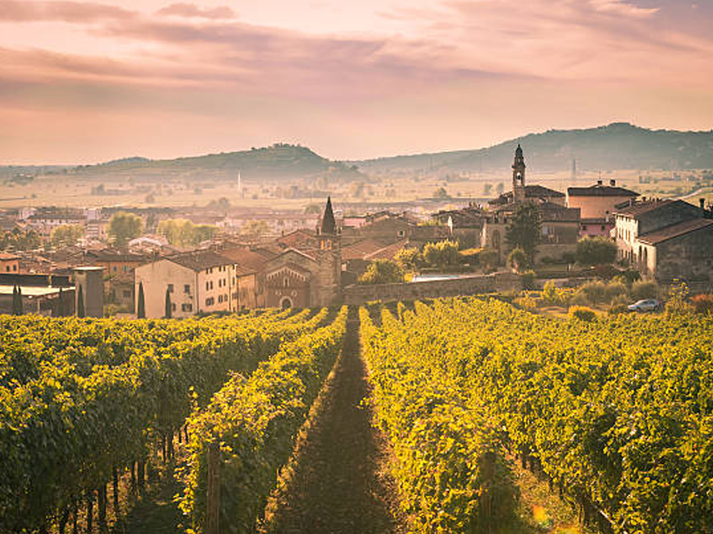 rượu vang ý amicone cantine di ora (quà tết 2025)