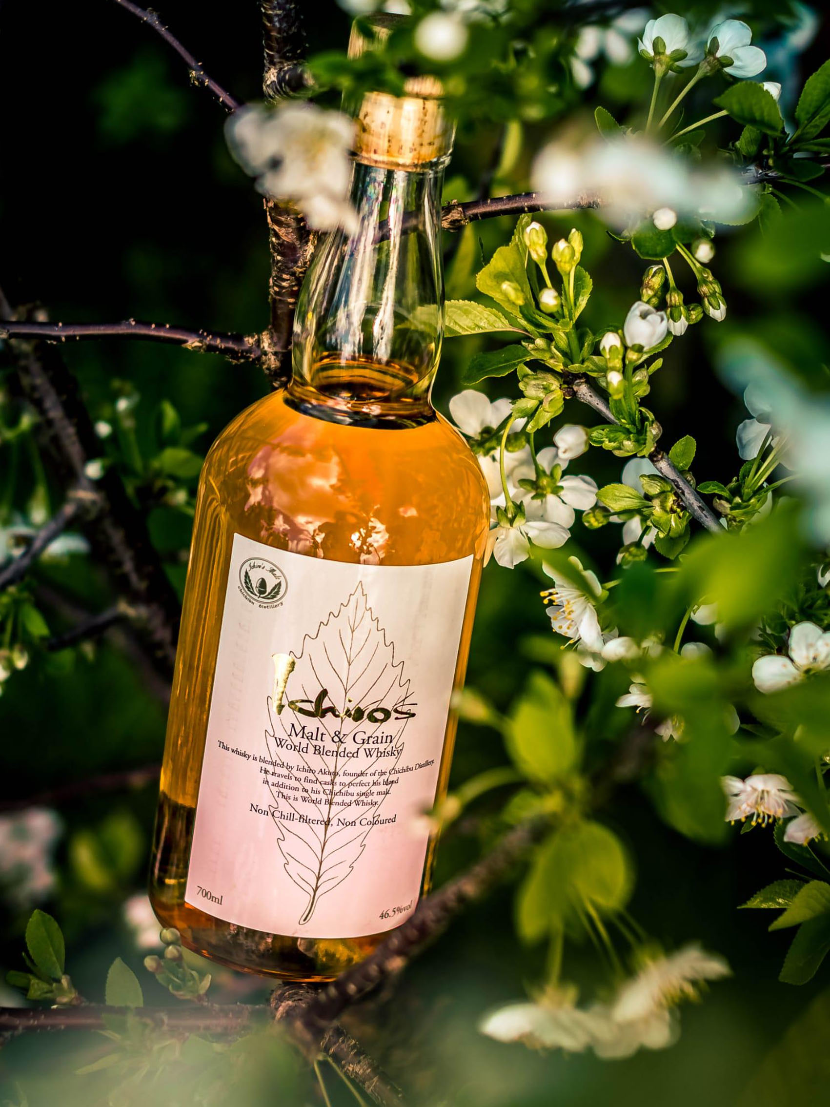 rượu whisky ichiro's malt & grain