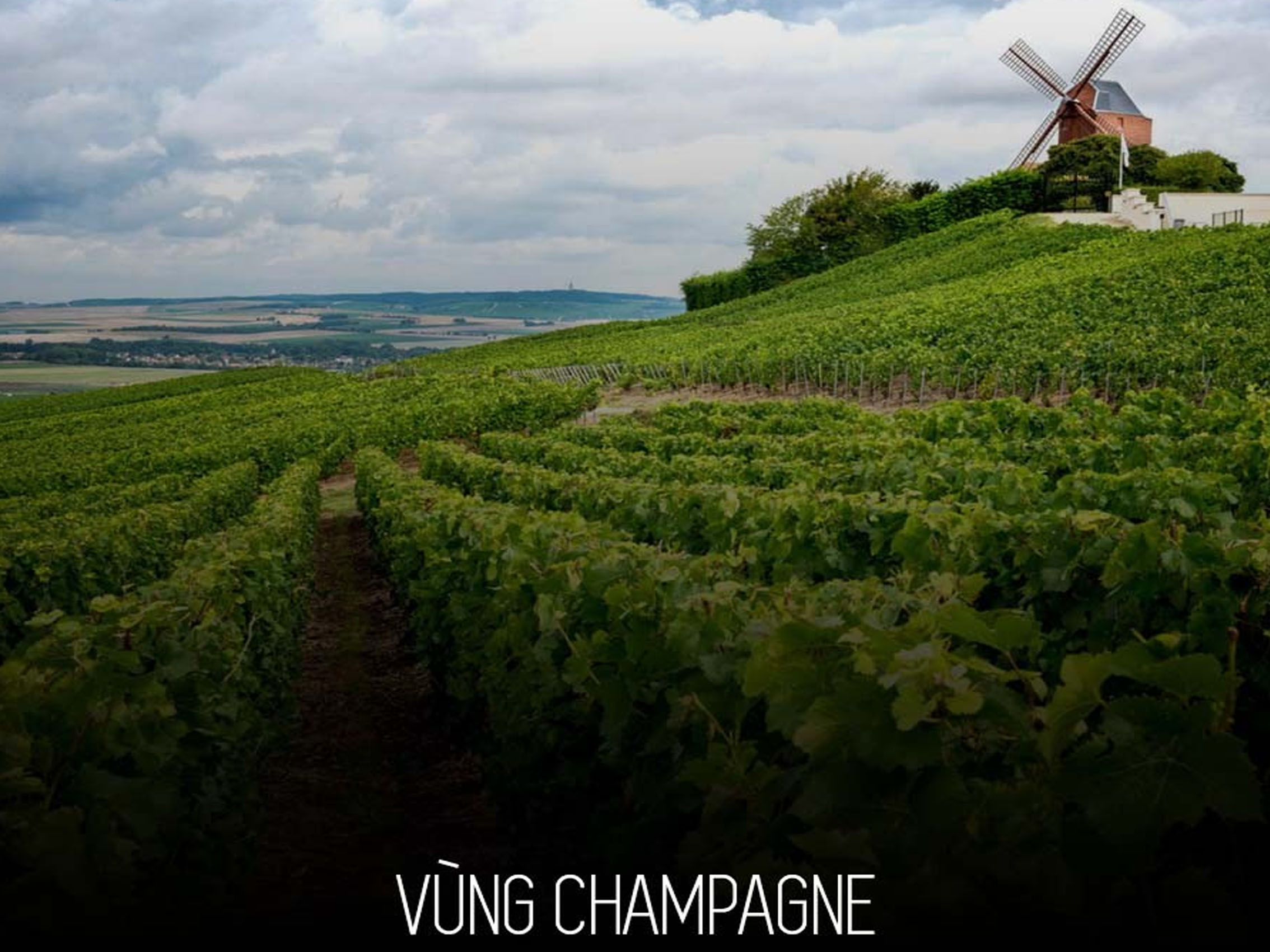 rượu champagne charles de cazanove brut premier cru