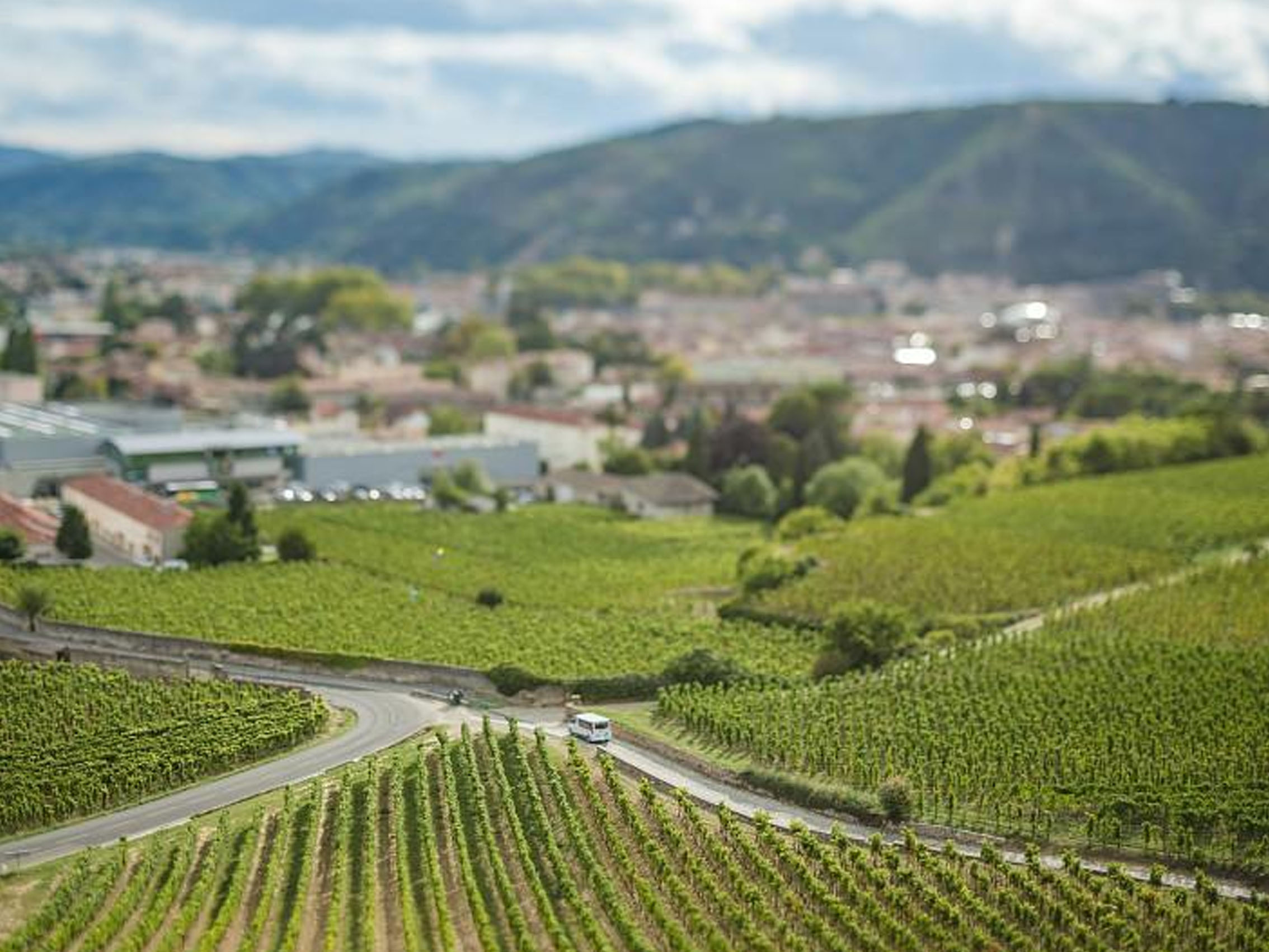 rượu champagne charles de cazanove vintage