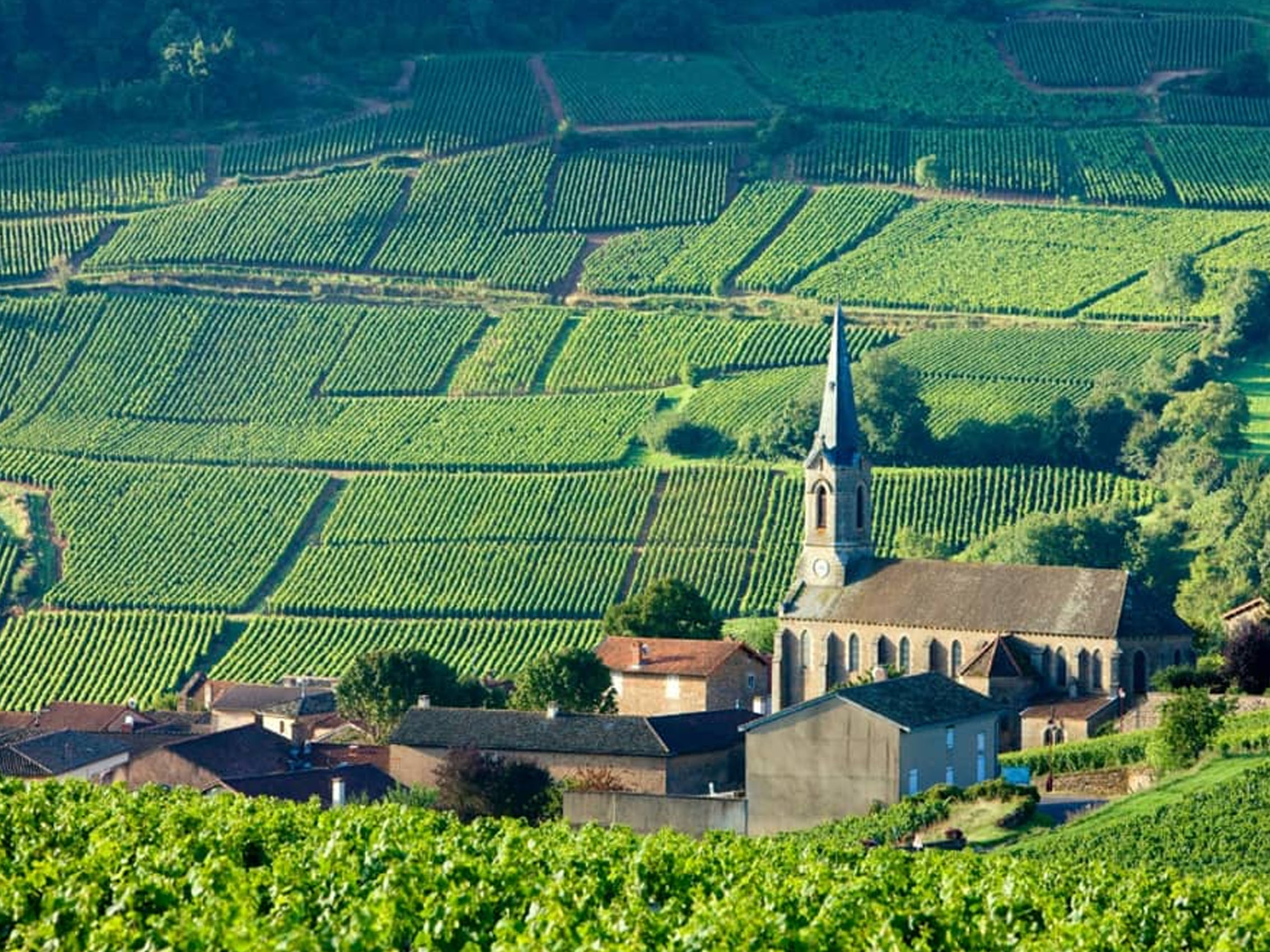 rượu champagne château de bligny brut grande réserve