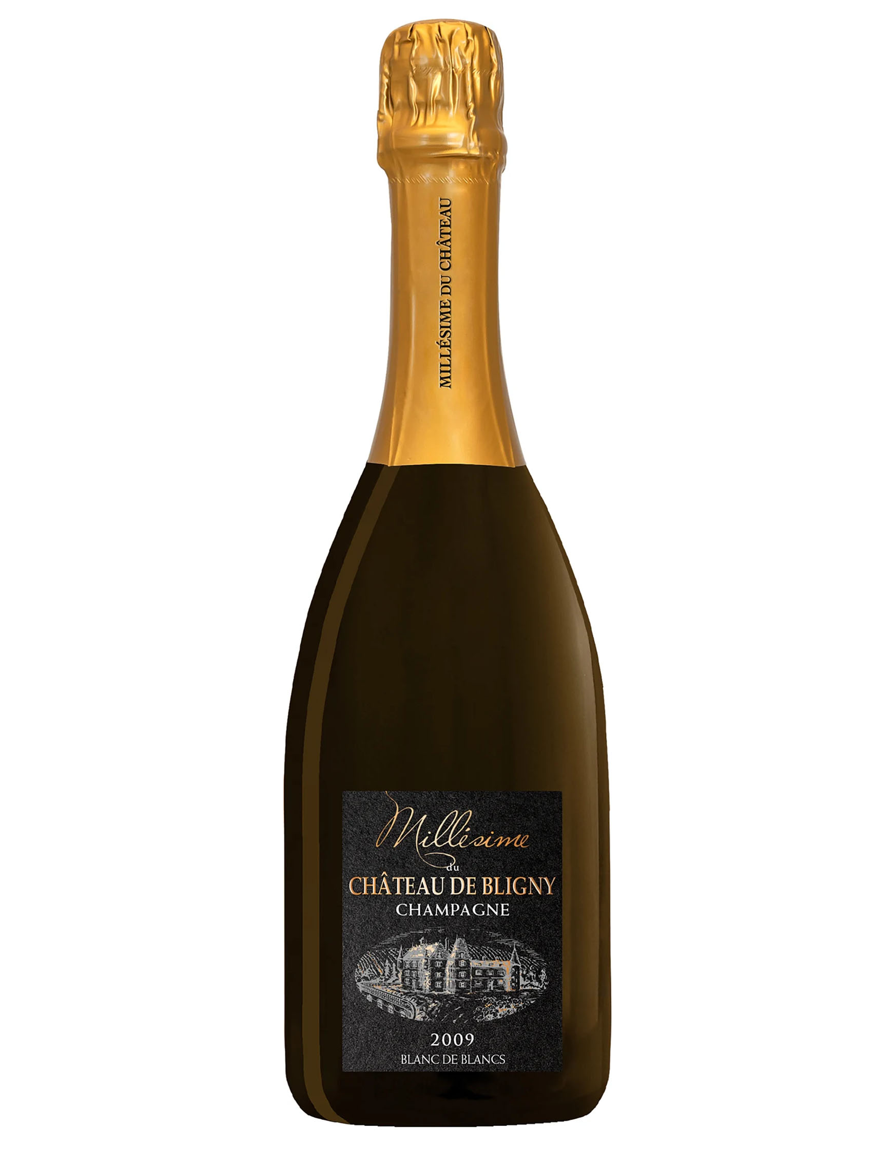 rượu champagne château de bligny brut millésimé 