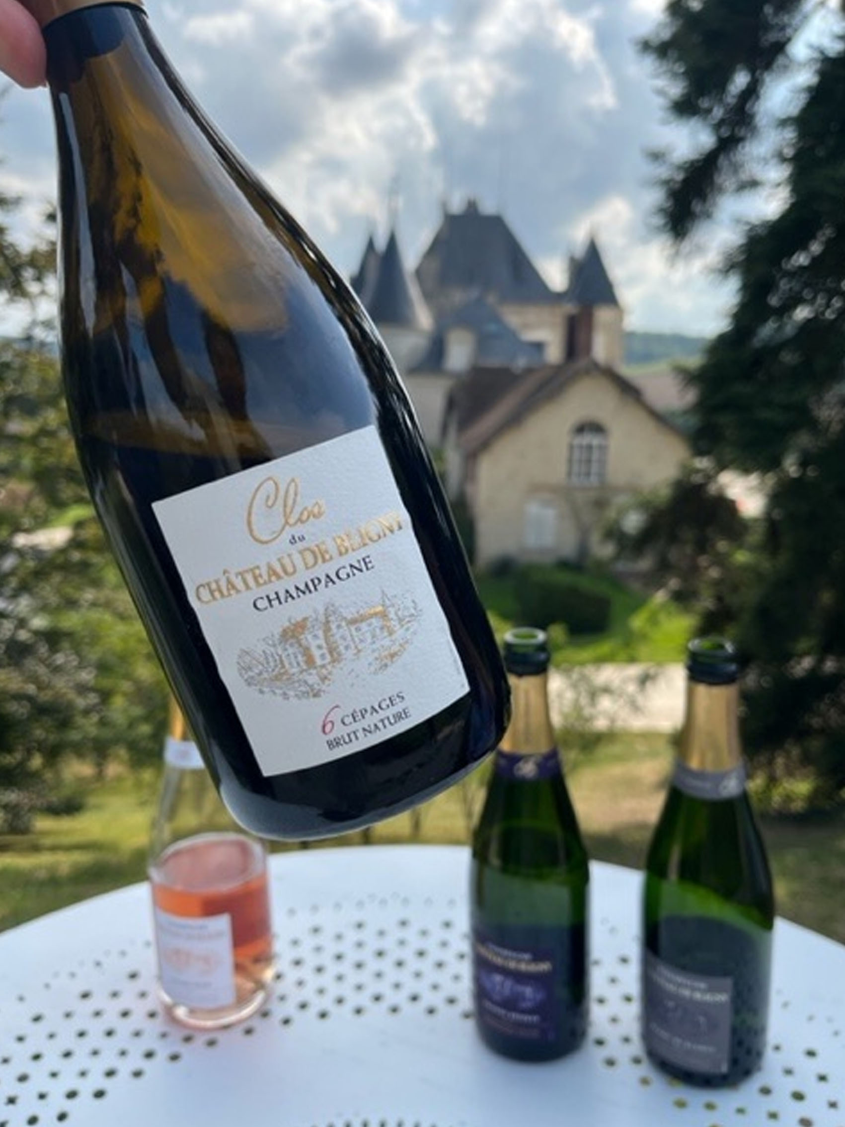 rượu champagne château de bligny clos du château brut nature 6 varietals