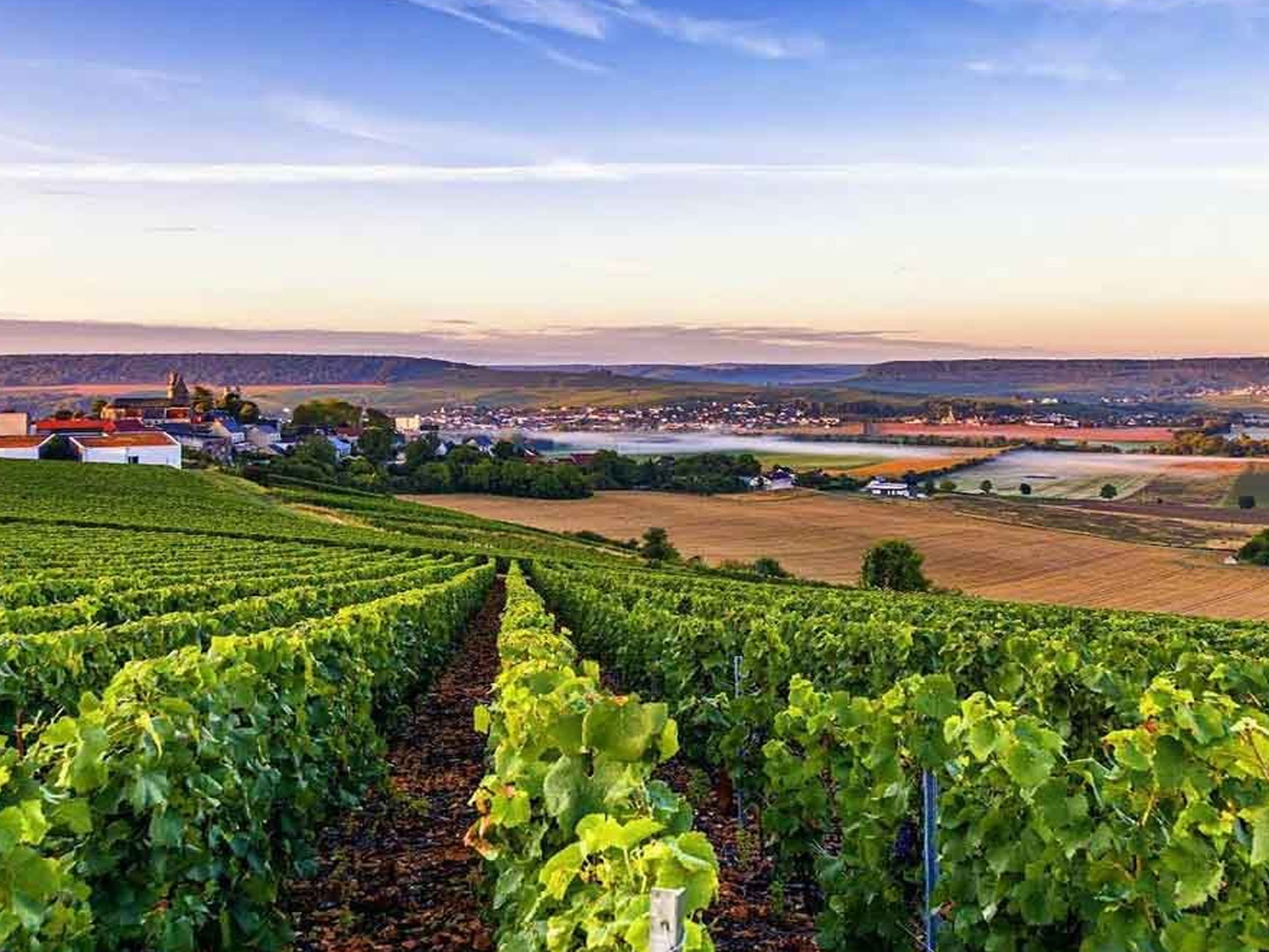 rượu champagne château de bligny clos du château brut nature 6 varietals