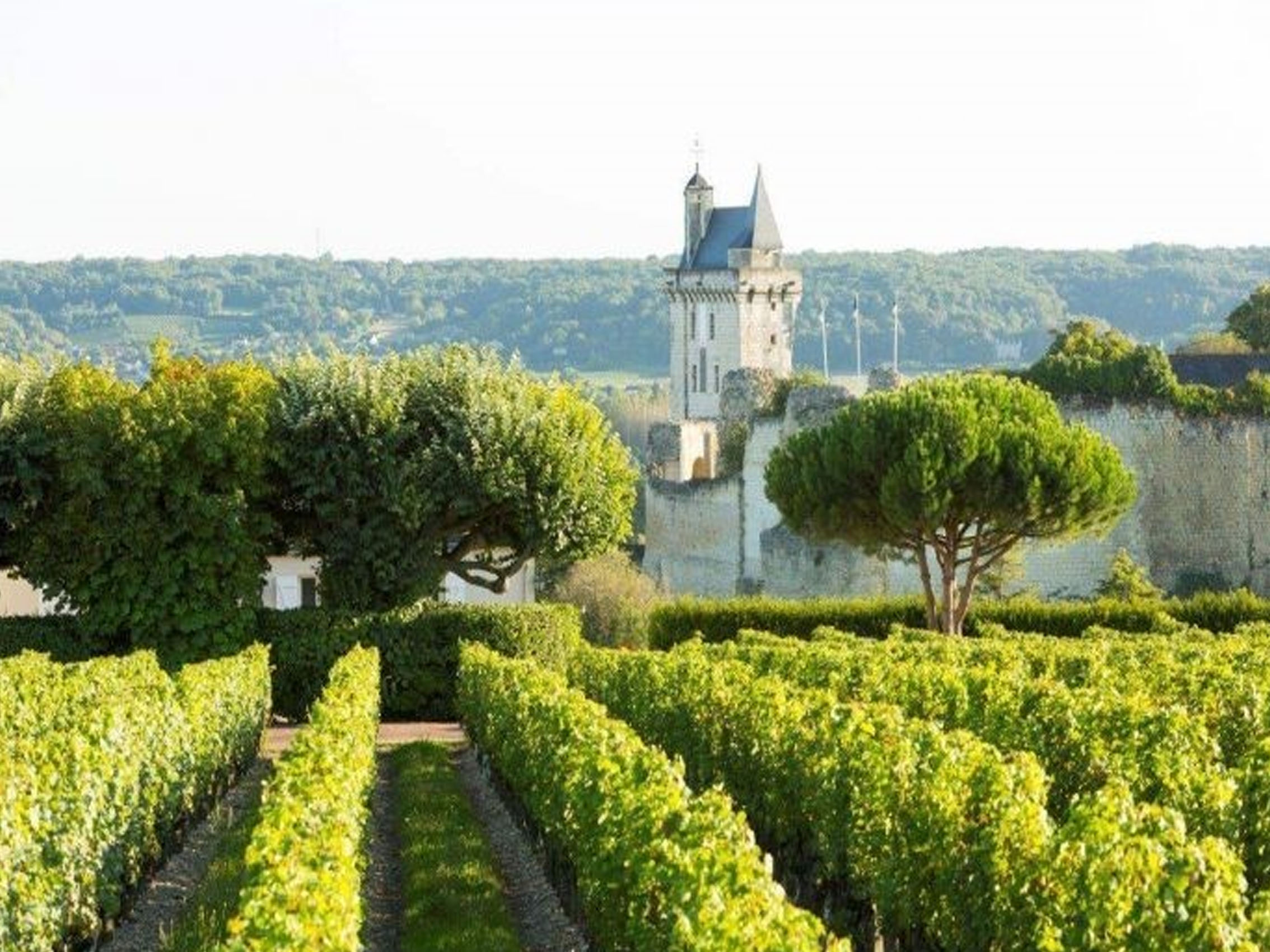 rượu champagne deutz brut classic