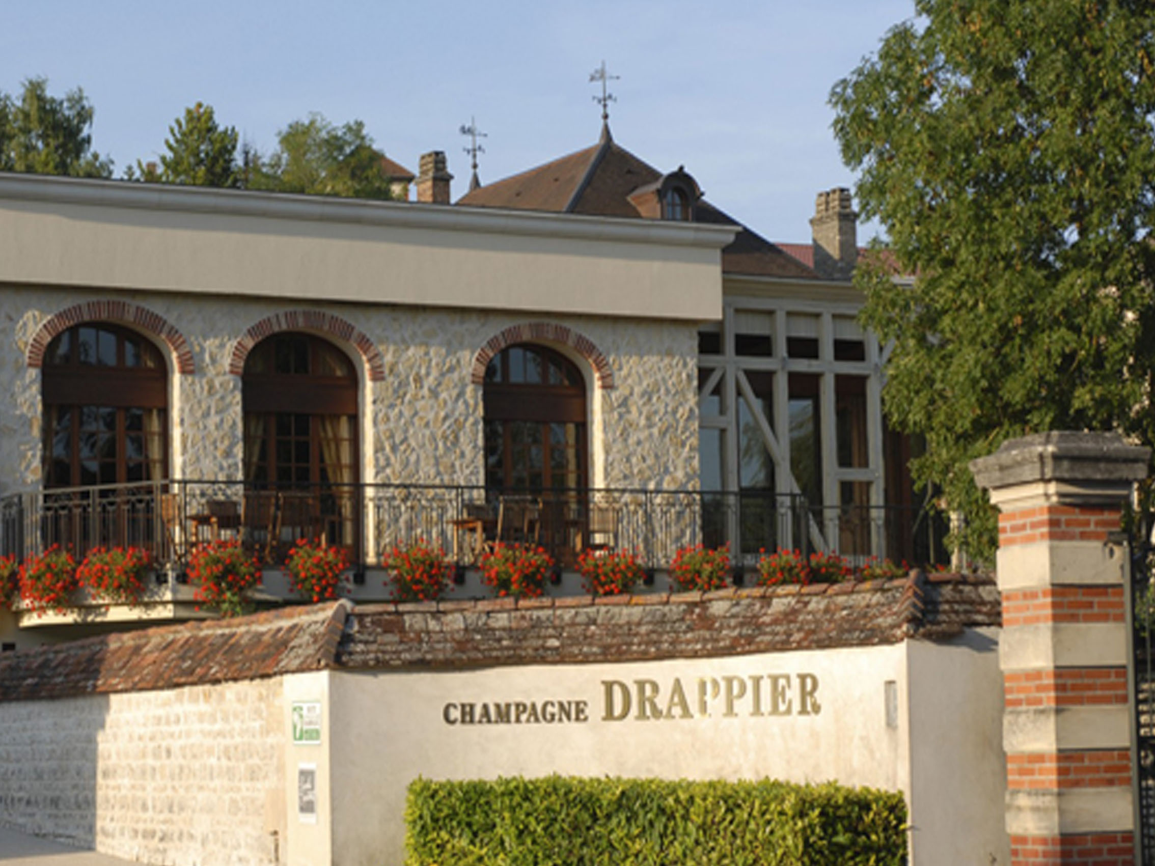 rượu champagne drappier blanc de blancs