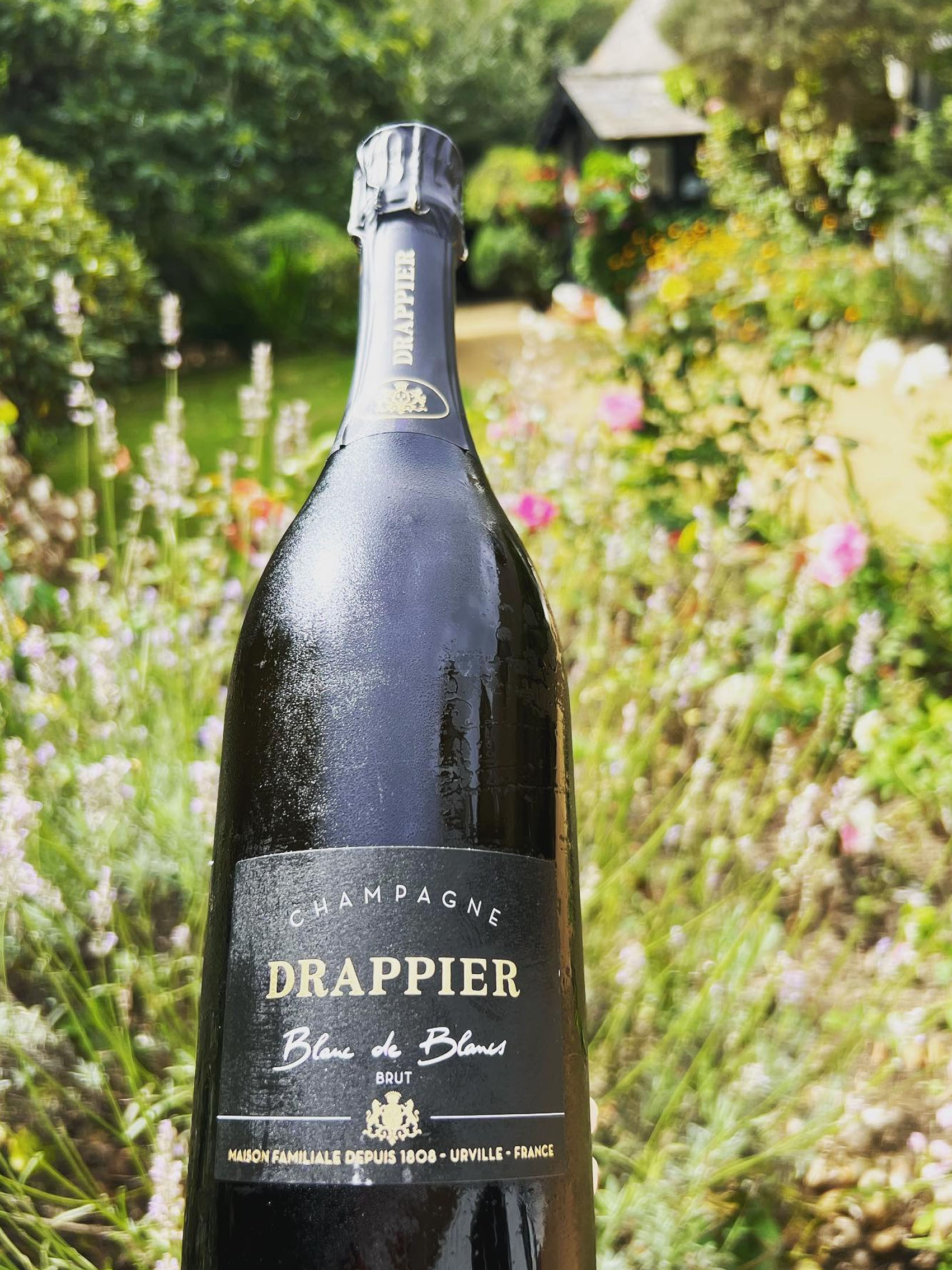 rượu champagne drappier blanc de blancs