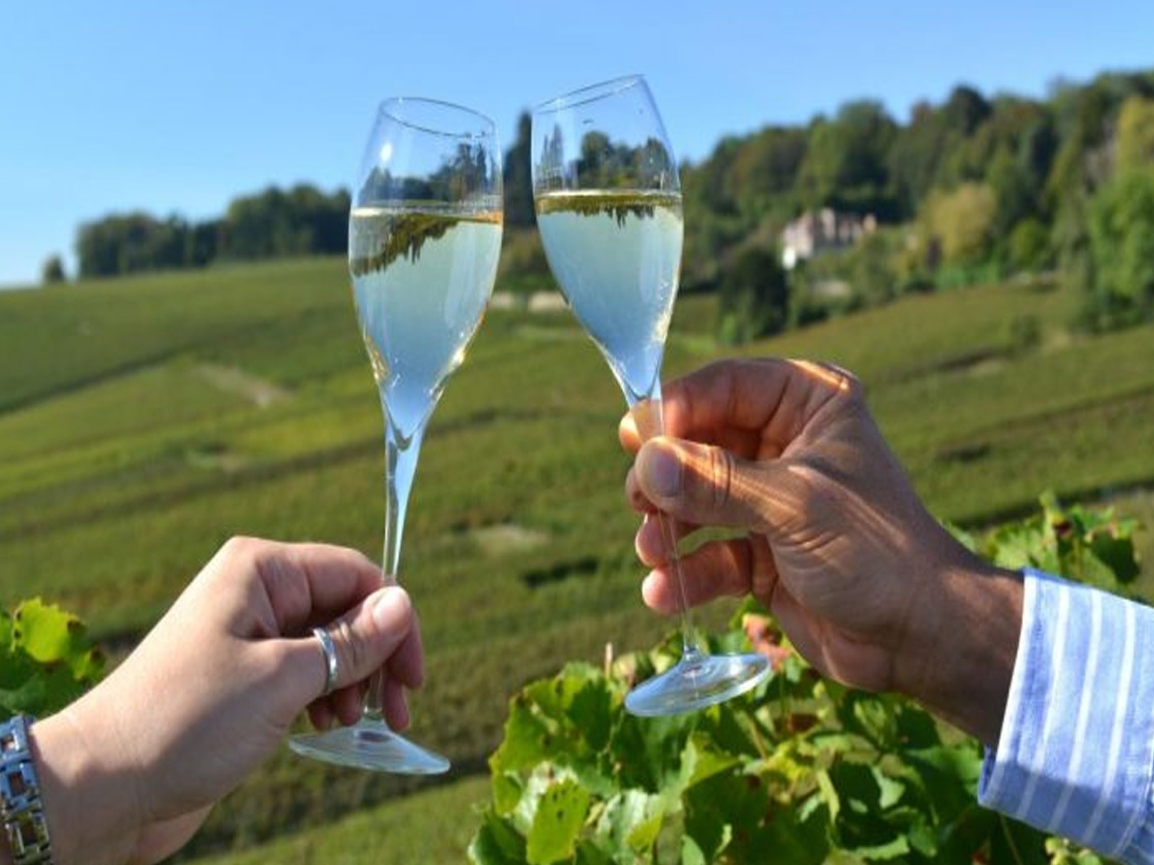 rượu champagne drappier blanc de blancs grand cru vintage