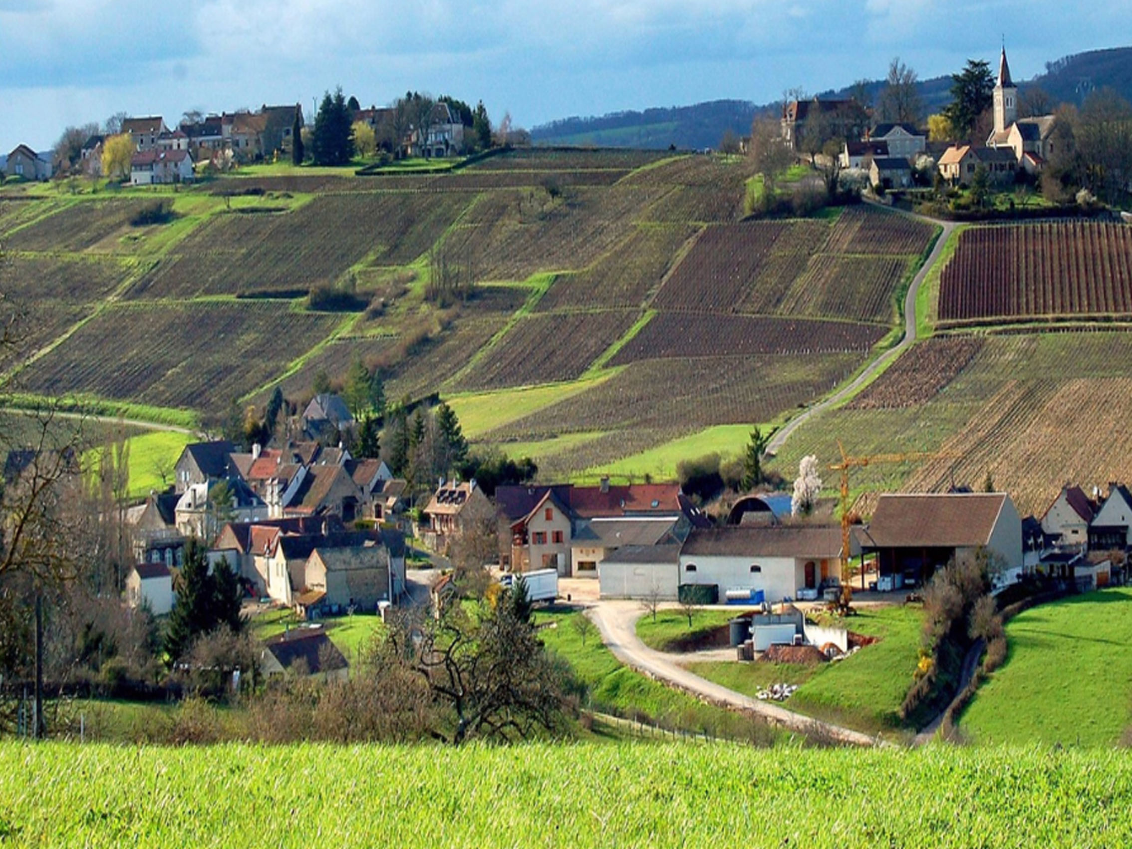 rượu champagne drappier blanc de blancs grand cru vintage