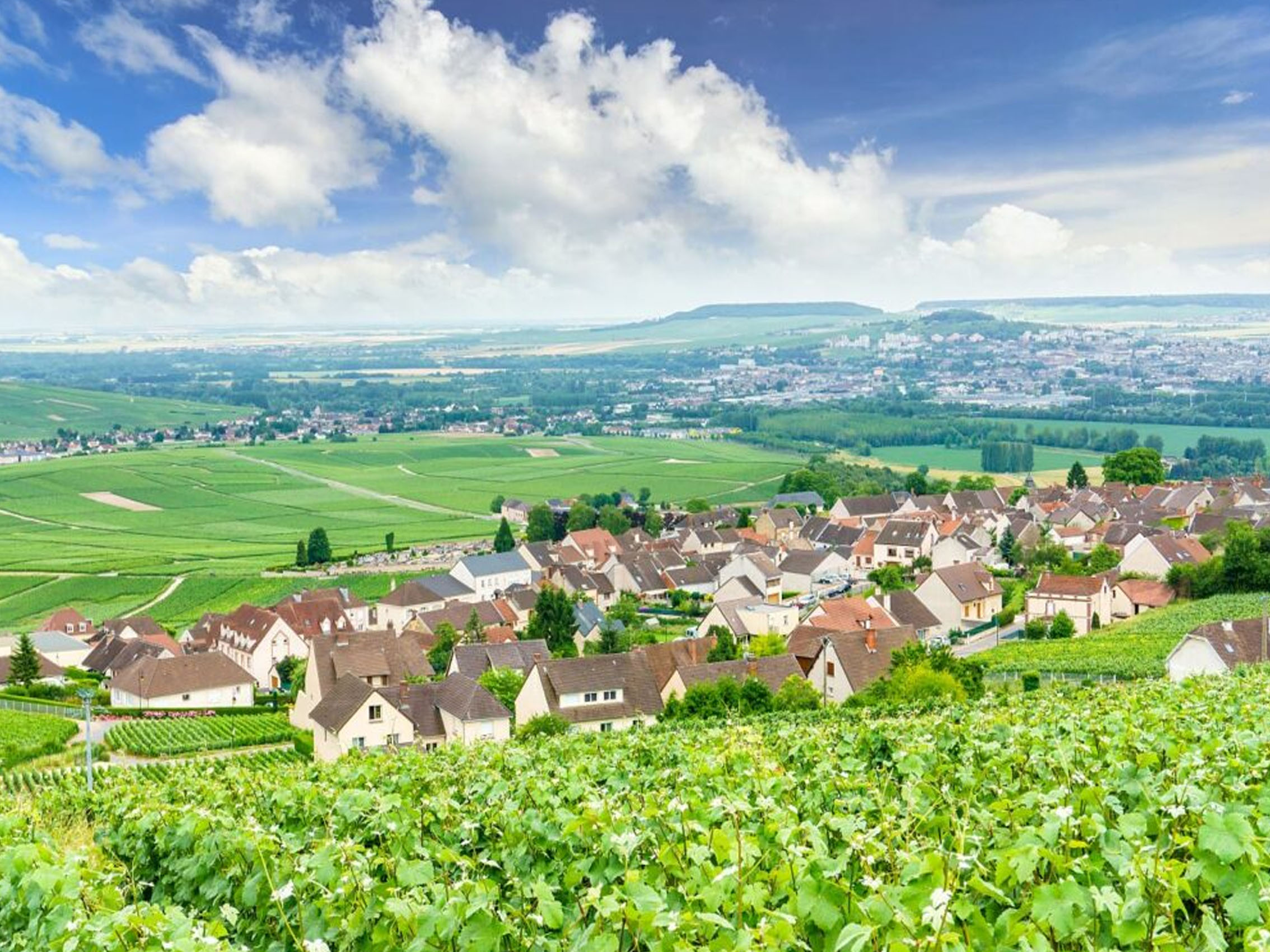 rượu champagne drappier brut nature les riceys rosé