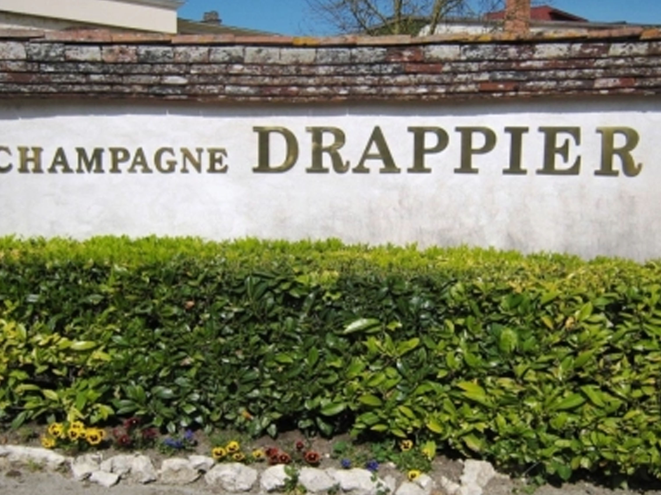 rượu champagne drappier permission côteaux champenois red