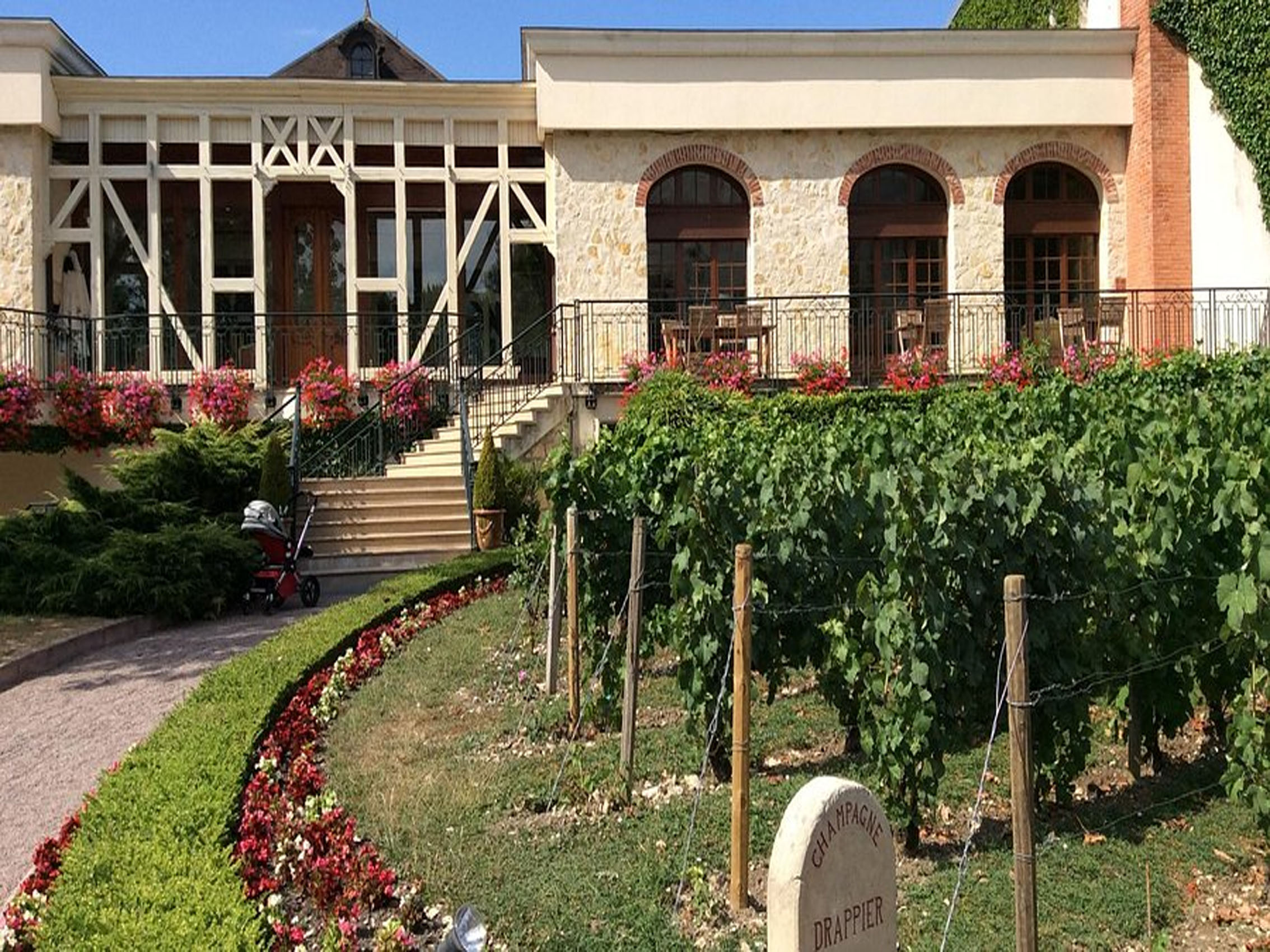 rượu champagne drappier perpétuité côteaux champenois white