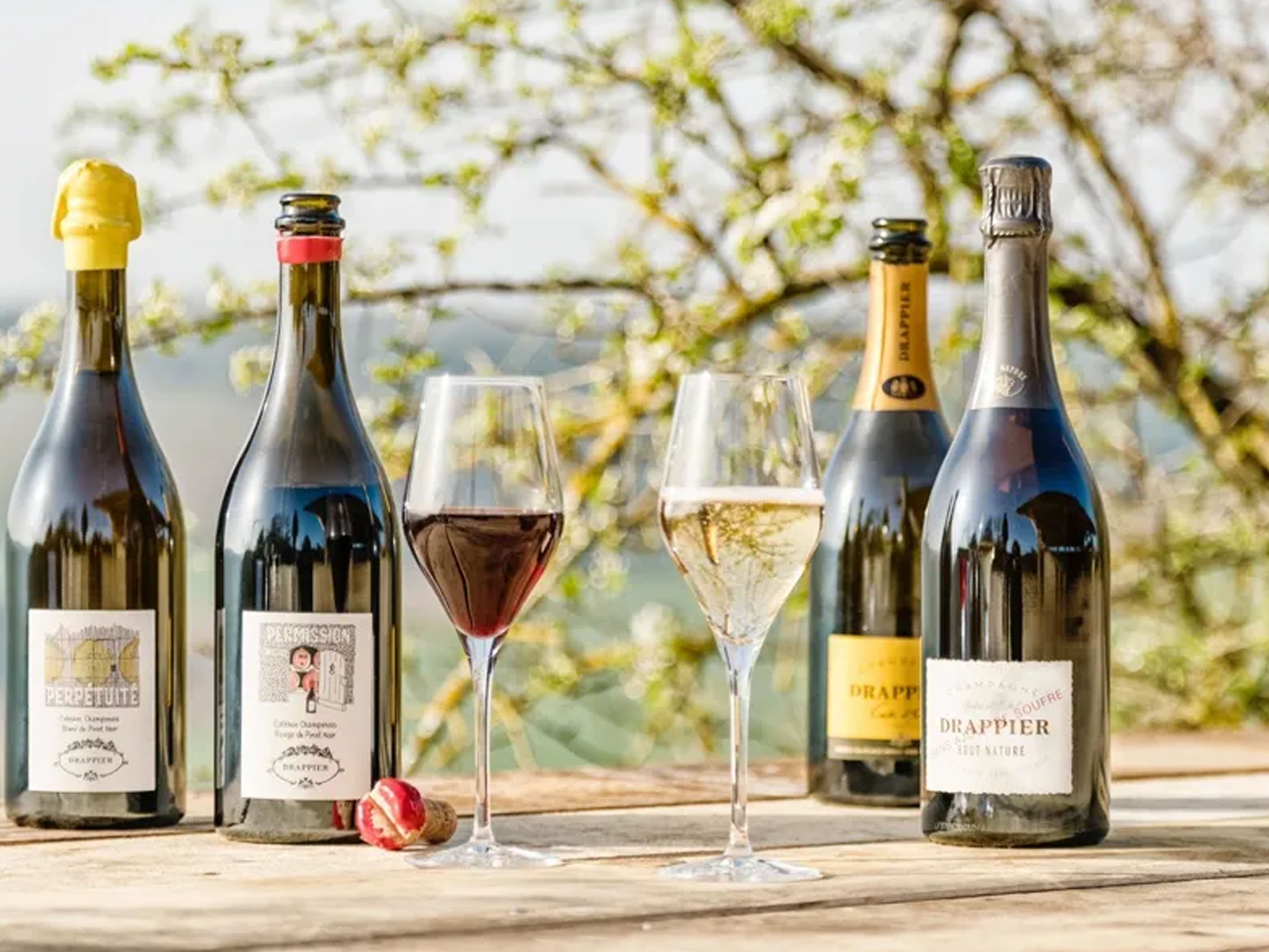 rượu champagne drappier perpétuité côteaux champenois white