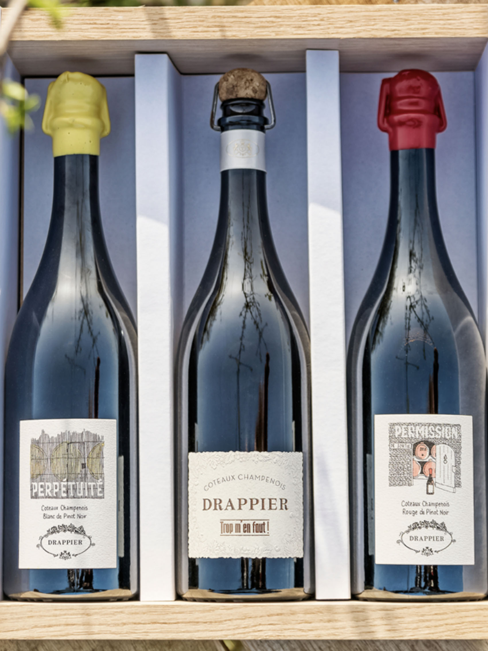 rượu champagne drappier perpétuité côteaux champenois white