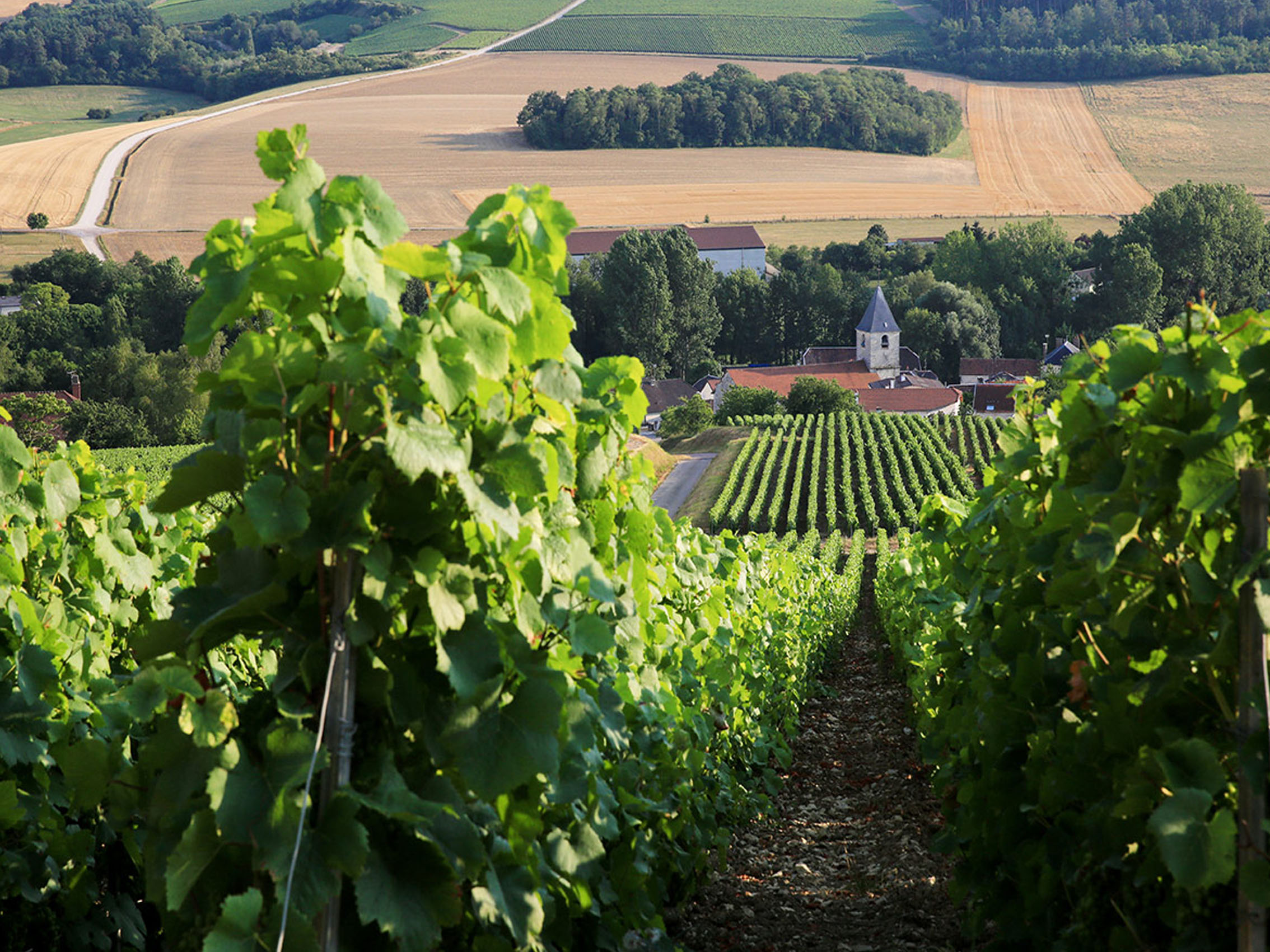 rượu champagne drappier réserve de l'oenothèque 2002