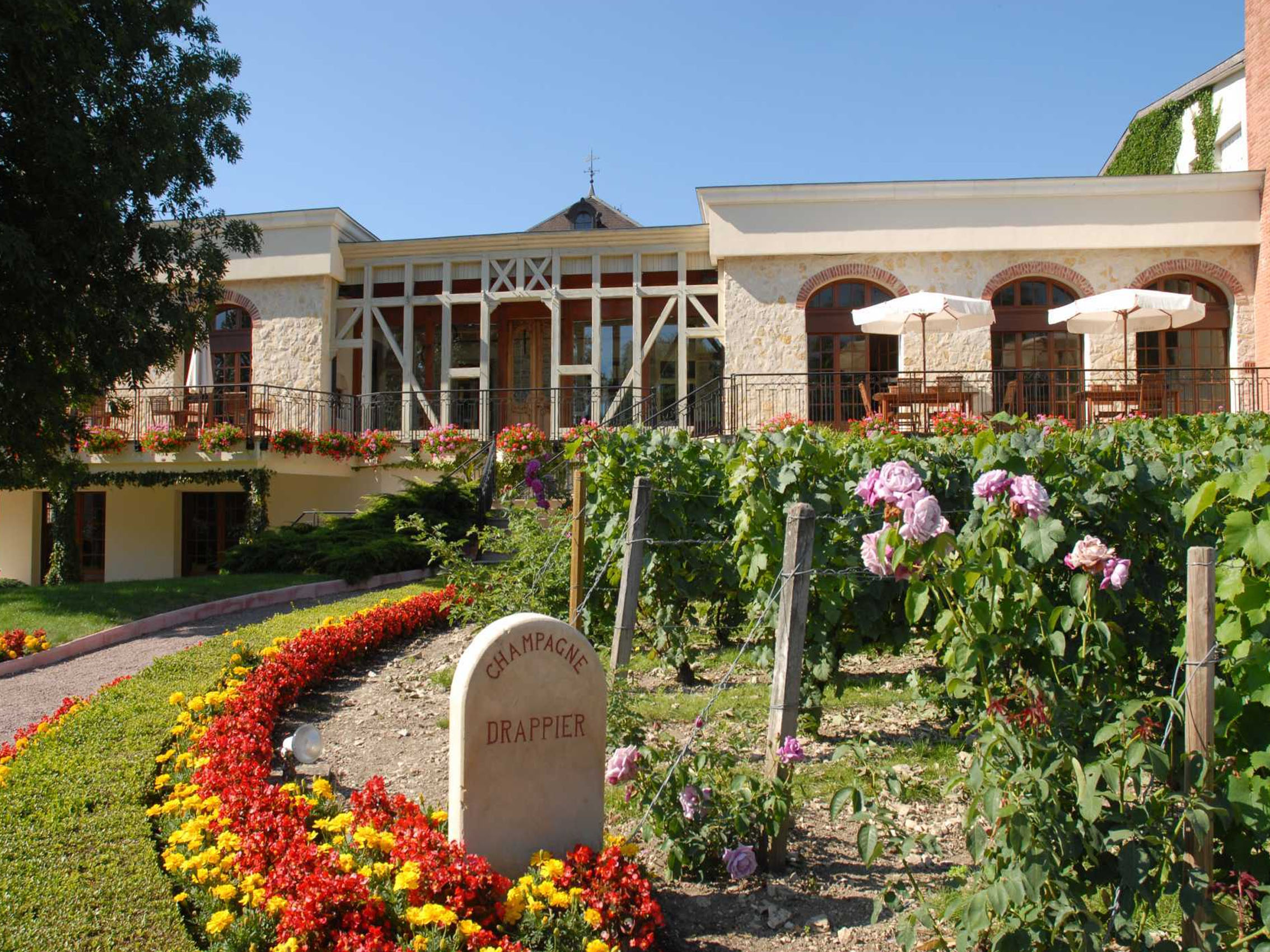 rượu champagne drappier réserve de l'oenothèque 2006