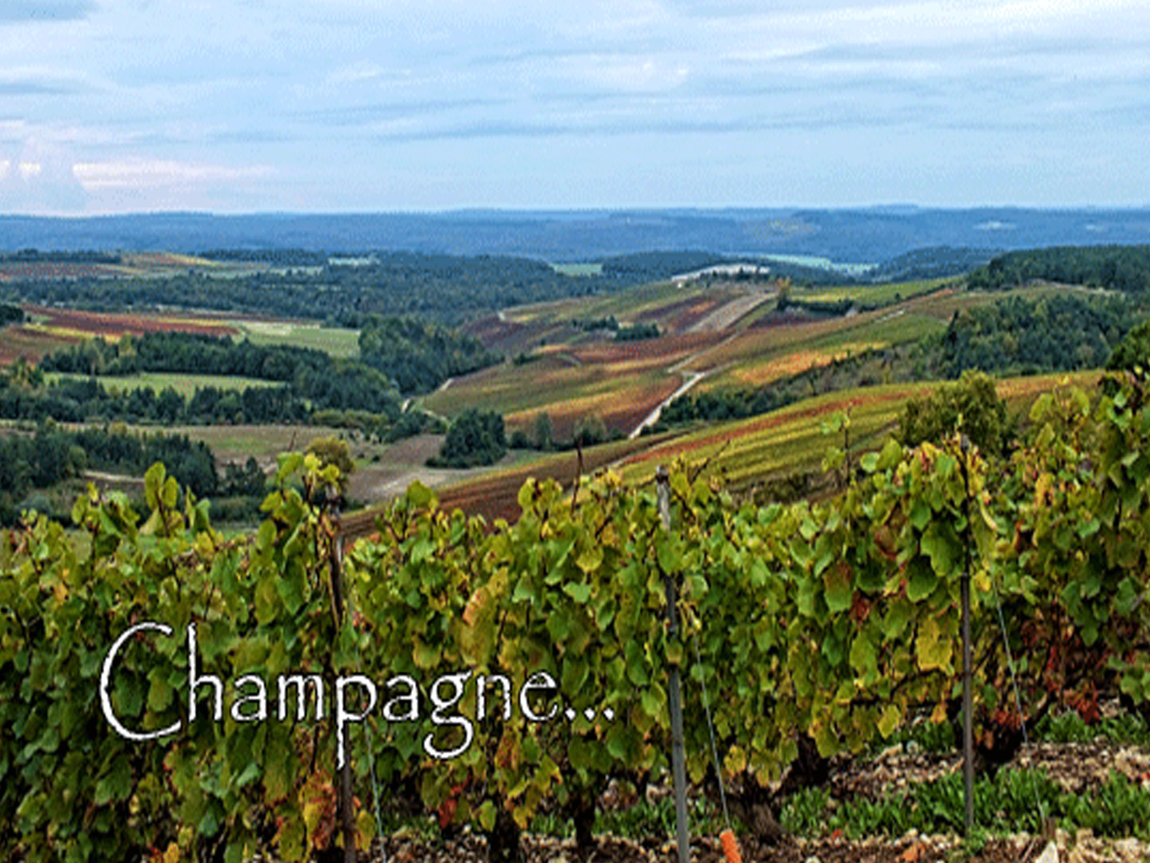 rượu champagne drappier réserve de l'oenothèque 2006