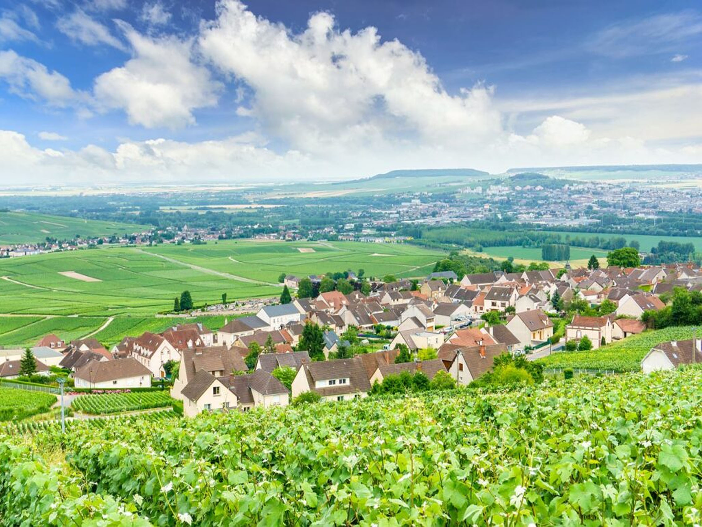 rượu champagne drappier urville côteaux champenois red